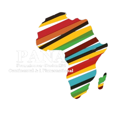 Panafricaine.info