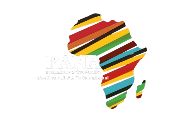 Panafricaine.info